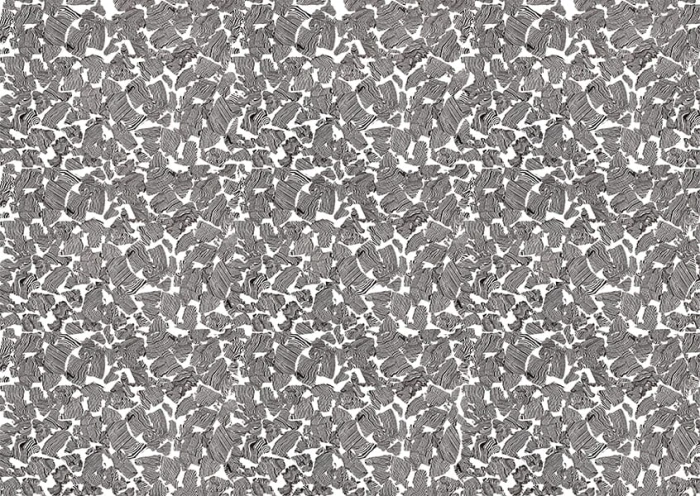 67a132aa1ff7392e7e3cfea3dbc57038