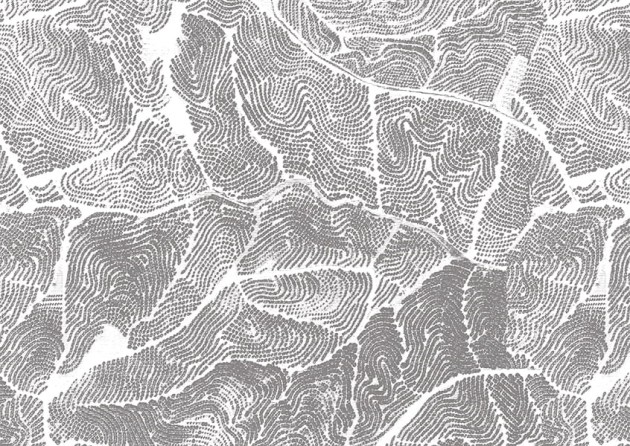 Texturae TXWF19644 Texture Abstract Cracks B - mural w abstrakcyjny wzór
