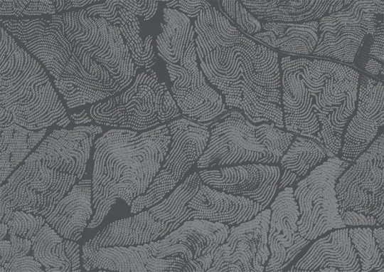 Texturae TXWF19645 Texture Abstract Cracks A - mural w abstrakcyjny wzór