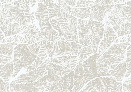Texturae TXWF19648 Texture Abstract Cracks B - mural w abstrakcyjny wzór