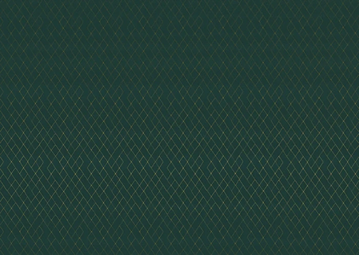 a61f7581c67c37aec2e2315bb45cff2b