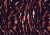 a89ce808181d8fa7b8f2aa6ef8a67f79