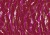 d8492d057d1545fb410296e2d2a681ac