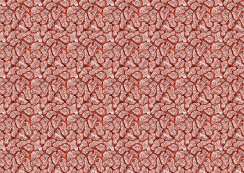 a2237425ba78910ee2addef0c0eece9f