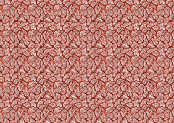 6823d2feac1e67eb206edd284268fb28