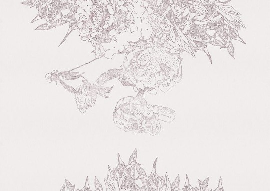 Texturae TXWF16526 Texture Abstract Ranunculus A - mural w motyw roślinny