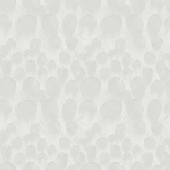 York Y6230101 Antonina Vella Natural Opalescence Feathers White - tapeta w pióra