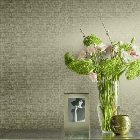York Y6230401 Antonina Vella Natural Opalescence Skin Light Grey - tapeta strukturalna