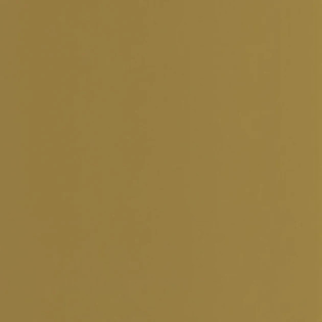 Casadeco 200337474 Color Game Pigments Olive - tapeta jednolita