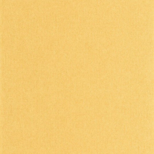 OL / Caselio 104992554 Damier Uni Mat - 1 rolka