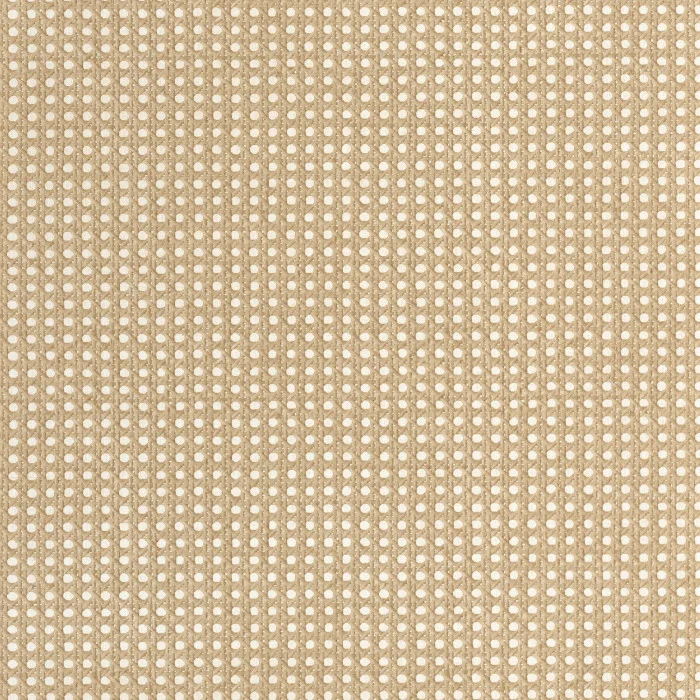 ae4e0adfab1fc58bfaa45f37e915e66c