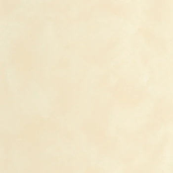 aeb393bd37b5981943858619fd656a63