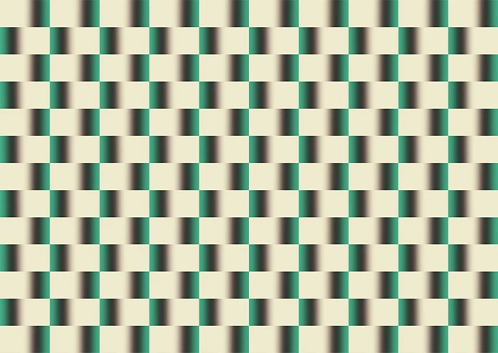 2985d6a7f2c74bbacb925fb3dddff2b0