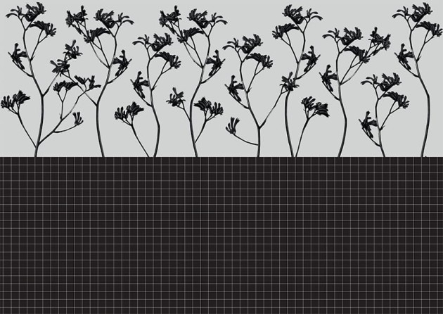 Texturae TXWF19654 Pattern Abstract Antitesi Quadriflora A - mural w roślinny motyw i kratkę