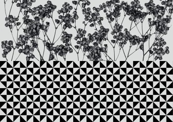 3df99c4050dde686e9bfb99272f42612