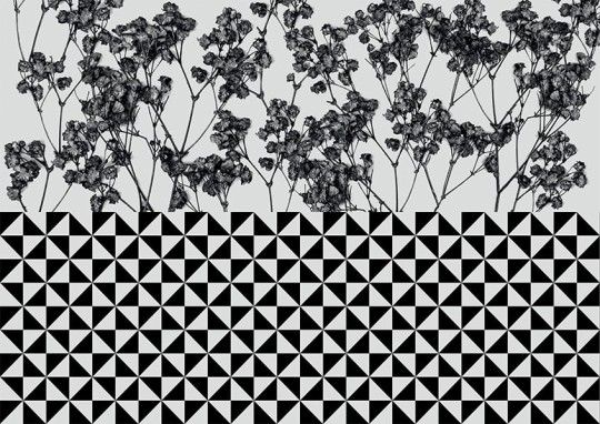 Texturae TXWF19655 Pattern Abstract Antitesi Floricheck A - mural w roślinny motyw i kratkę