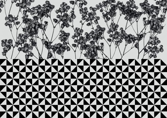 Texturae TXWF19655 Pattern Abstract Antitesi Floricheck B - mural w roślinny motyw i kratkę