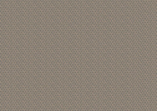 Texturae TXWF17624 Pattern Abstract Tonic B - mural w organiczny wzór