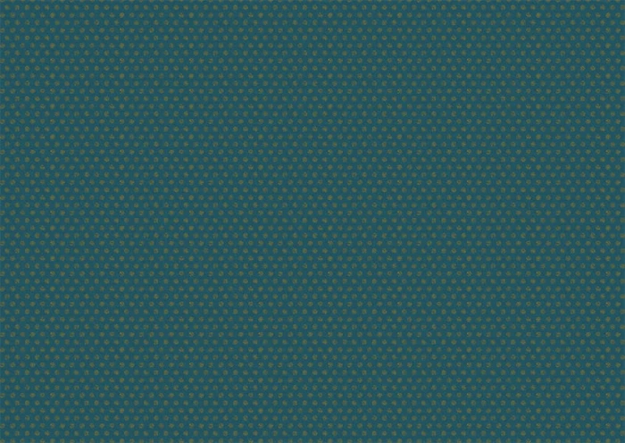 86dd213f3c8aea3e1fce125f89659fad