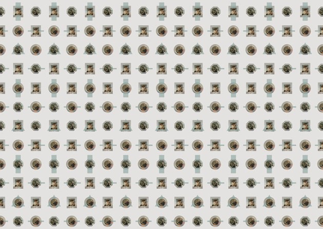 Texturae TXWR16105 Pattern Abstract Barocco Collage A - mural w portrety