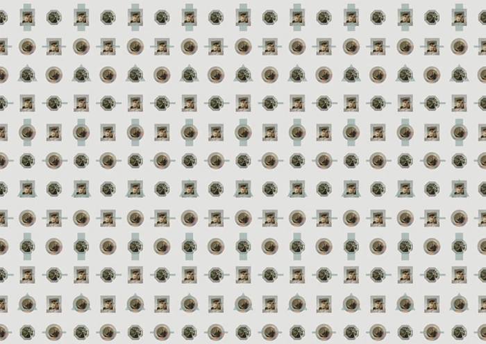 36e49297ce18536f6e6247560de4f263