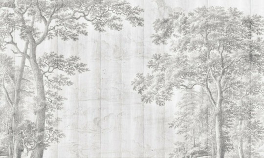 Dekorami Alberi 4 - mural w leśny krajobraz