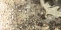 d95a179cd9784924e894611e8a8cc358
