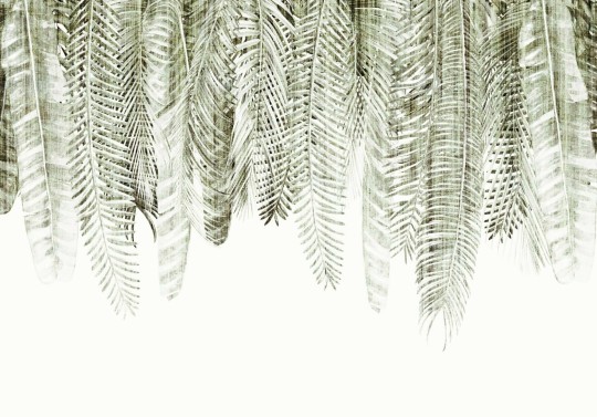 Dekorami Barbados 1 - mural w egzotyczne liście