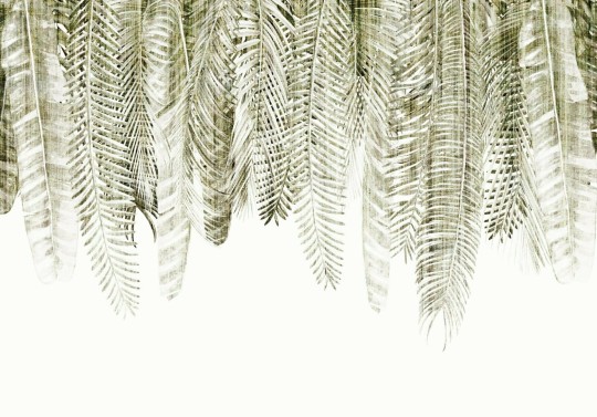 Dekorami Barbados 3 - mural w egzotyczne liście