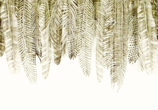 Dekorami Barbados 4 - mural w egzotyczne liście