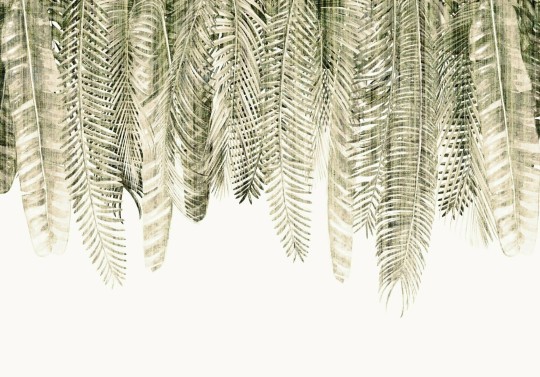 Dekorami Barbados 5 - mural w egzotyczne liście