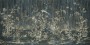 5466705d10e2313365fd351a862dc106