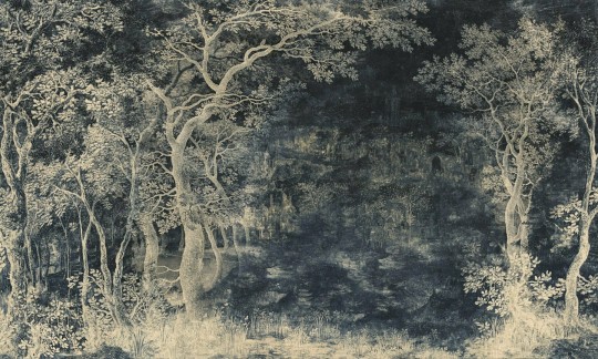 Dekorami Miracle 2 - mural w leśny krajobraz