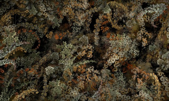 Dekorami Mon Cheri 2 - mural w roślinny motyw