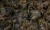 cd803bd5126dd468bee7126d9aff2110