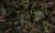 8f9e3a83ee201cb803304db884b2f532