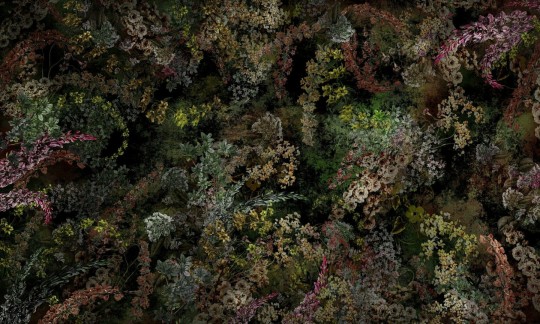 Dekorami Mon Cheri 4 - mural w roślinny motyw