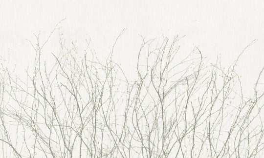 Dekorami Novembre 1 - mural w minimalistyczny motyw roślinny