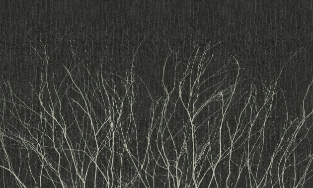 Dekorami Novembre 2 - mural w minimalistyczny motyw roślinny