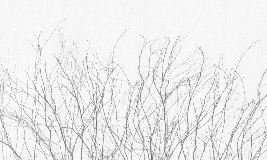 Dekorami Novembre 4 - mural w minimalistyczny motyw roślinny