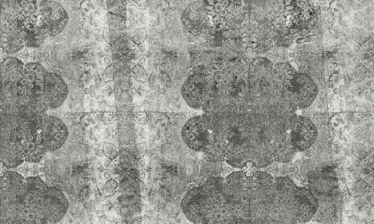 Dekorami Revival B 2 - mural w roślinne ornamenty