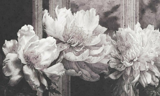 Dekorami Tre Tenori 2 - mural w duże kwiaty