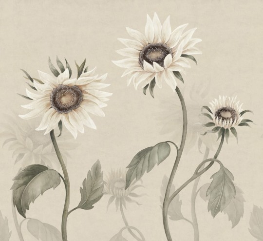 Sandberg S10529 Ett Hem, Oland Sunflowers White - mural w słoneczniki