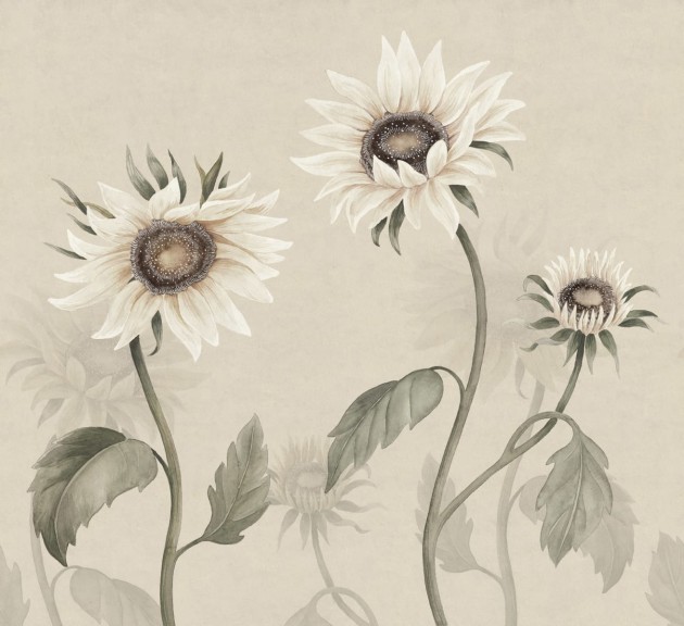 Sandberg S10529 Ett Hem, Oland Sunflowers White - mural w słoneczniki