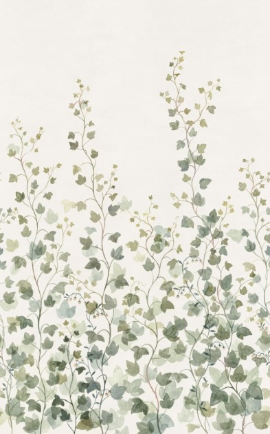 Sandberg S10484 Ett Hem, Oland Ivy Green - mural pnący się bluszcz