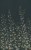 c9621bbe5980beb0d7032c4eb7eff3a5