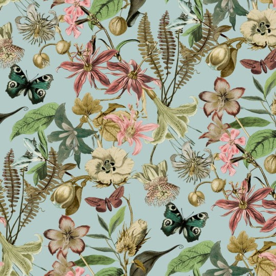 York BL1725 Blooms Second Edition Resource Library Butterfly House Sky Blue - tapeta w egzotyczne rośliny i motyle