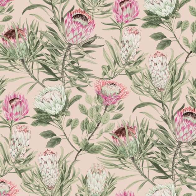 York BL1751 Blooms Second Edition Resource Library Protea Blush - tapeta w kwiaty