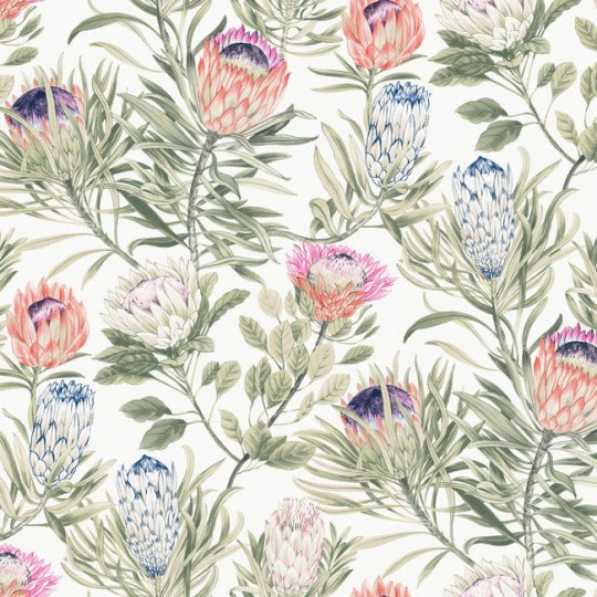 York BL1752 Blooms Second Edition Resource Library Protea White/Fuchsia - tapeta w kwiaty