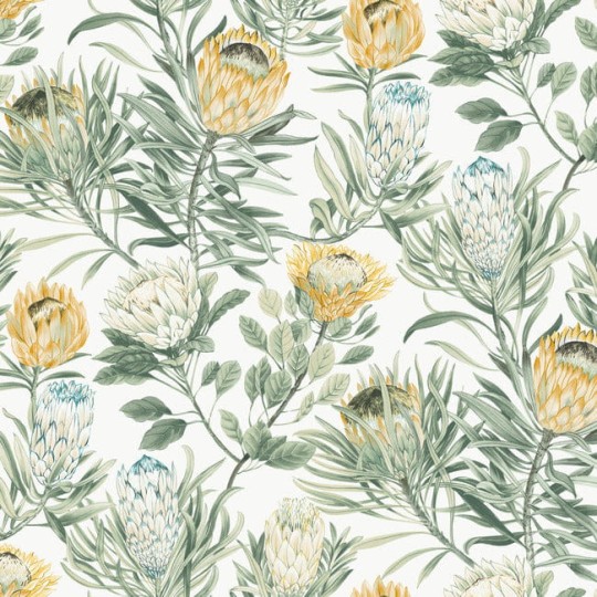 York BL1754 Blooms Second Edition Resource Library Protea White/Yellow - tapeta w kwiaty